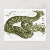 Adder (Schlange) Postkarte (Vorderseite)
