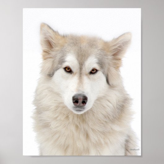 Addie von der A Street Poster (Vorne)