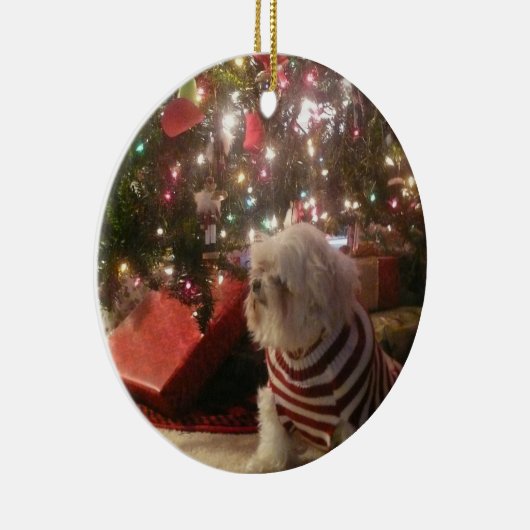 Addieren Sie Haustier-Foto/-person Keramik Ornament (Rechts)