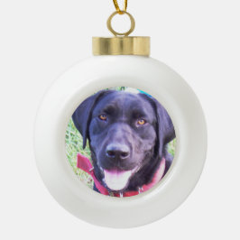 Addieren Sie Ihre Lieblingshaustier-Fotoverzierung Keramik Kugel-Ornament