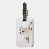 Addieren Sie Ihren eigenen Gepäckanhänger (Vorderseite vertikal)