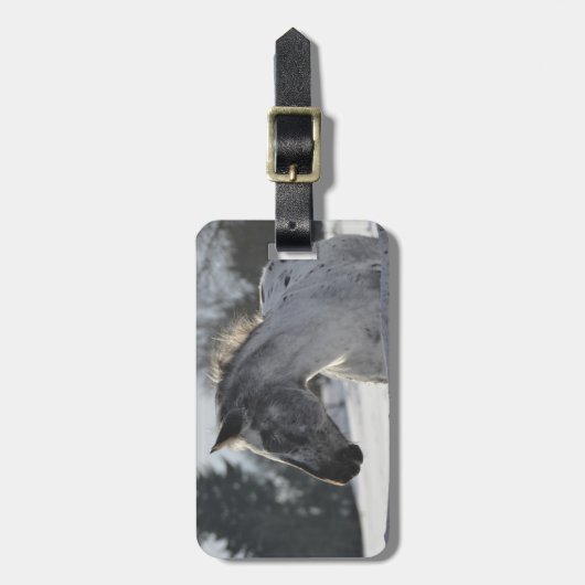 Addieren Sie Ihren eigenen Gepäckanhänger (Vorderseite vertikal)