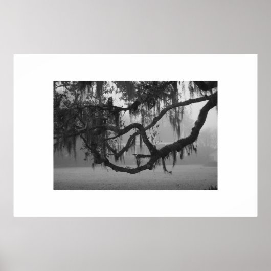 Addis House Poster (Vorne)