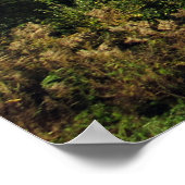 Addison Pinnacle Herbstfarben und Foggy Valley Poster (Ecke)