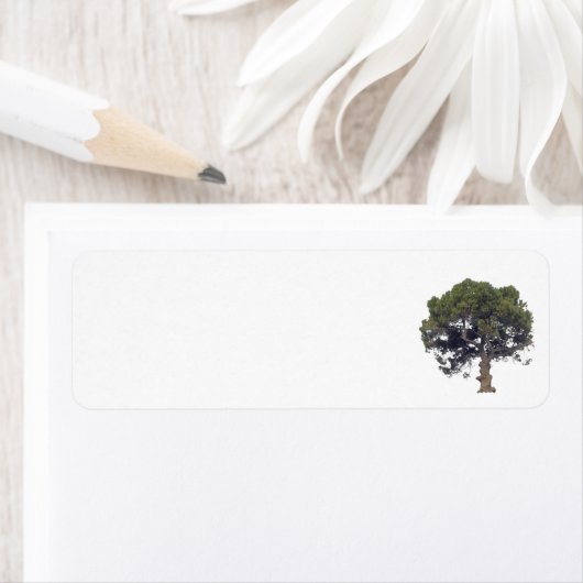 Address Labels Art&Design Stile (Insitu)