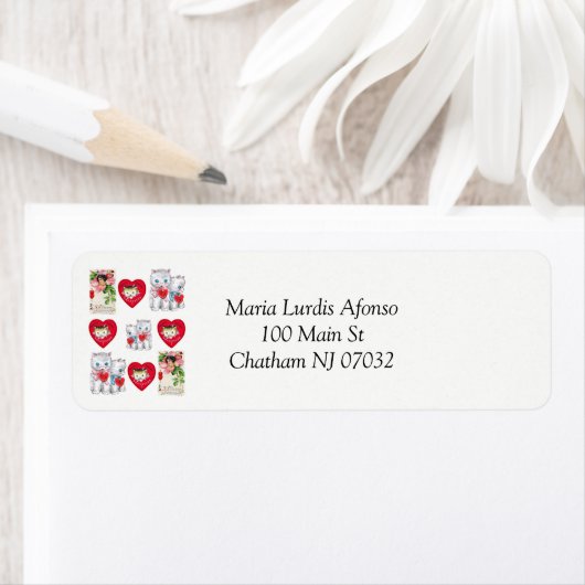 Address Labels Cats  (Insitu)