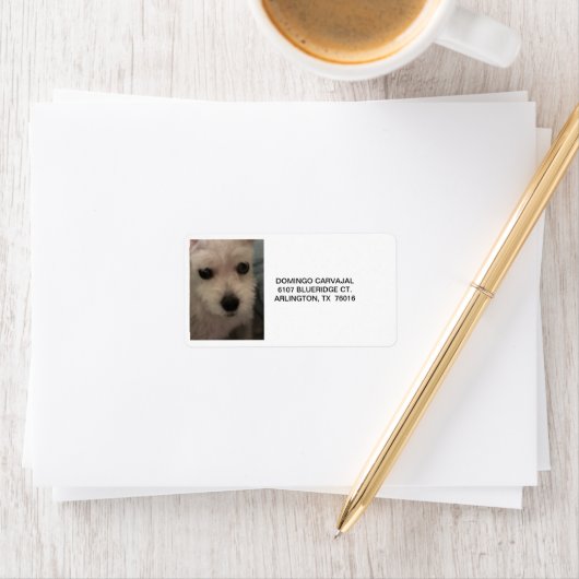 ADDRESS LABELS W/SCHNAUZER ADRESSAUFKLEBER (Insitu)