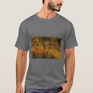 Adegein Abstract Nature T-Shirt