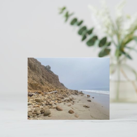 Adelaide at Loon Point Beach, CA Postkarte (Stehend Vorderseite)