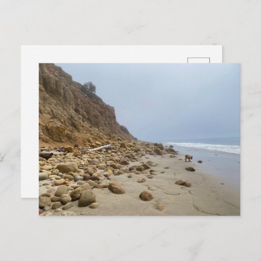 Adelaide at Loon Point Beach, CA Postkarte (Vorne/Hinten)