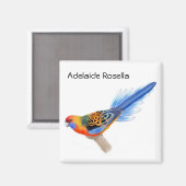 Adelaide Rosella Parrot Magnet (Vorderseite/Rückseite)