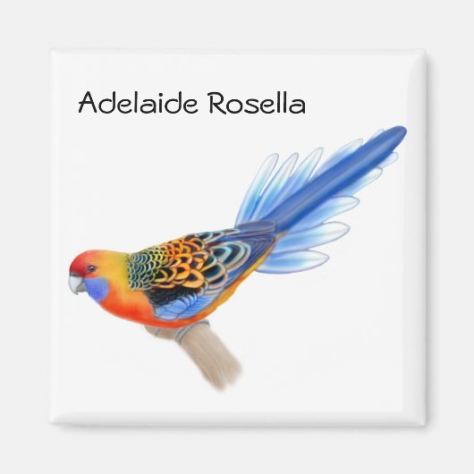 Adelaide Rosella Parrot Magnet (Vorne)