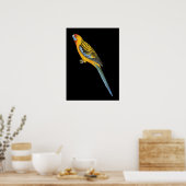 Adelaide Rosella - Platycerus elegans adelaidae Poster (Küche)