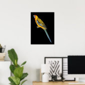 Adelaide Rosella - Platycerus elegans adelaidae Poster (Heimbüro)