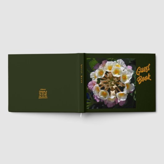 Adelaparre Gästebuch (Voll)