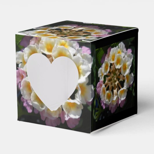 Adelaparre Geschenkschachtel (Vorderseite)