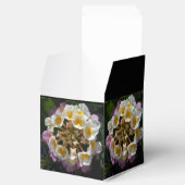 Adelaparre Geschenkschachtel (Geöffnet)