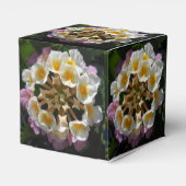 Adelaparre Geschenkschachtel (Rückseite)