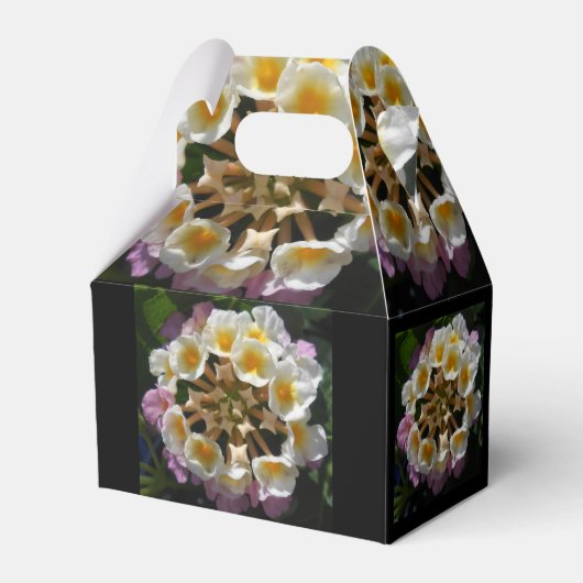 Adelaparre Geschenkschachtel (Rückseite)