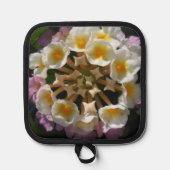 Adelaparre Topflappen (Vorderseite)