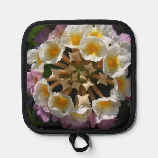 Adelaparre Topflappen (Vorderseite)