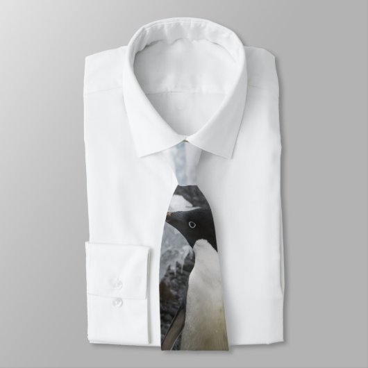 Adelepenguin-Krawatte Krawatte (Gebunden)