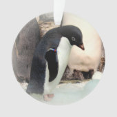 Adelie Penguin - Acrylschmuck Ornament (Vorderseite)