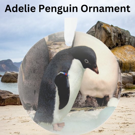 Adelie Penguin - Acrylschmuck Ornament