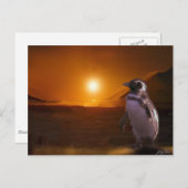 Adelie Penguin & Antarktis Sunset Postkarte (Vorne/Hinten)