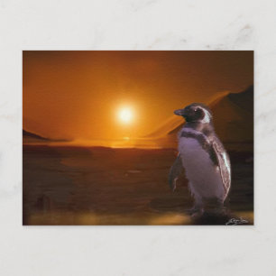 Adelie Penguin & Antarktis Sunset Postkarte