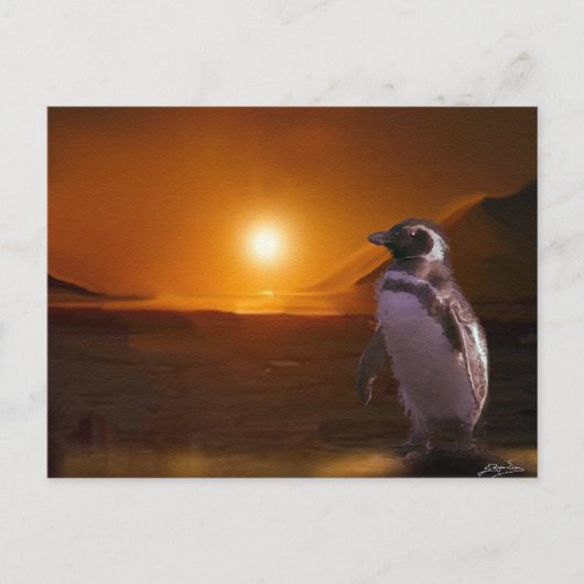Adelie Penguin & Antarktis Sunset Postkarte (Vorderseite)