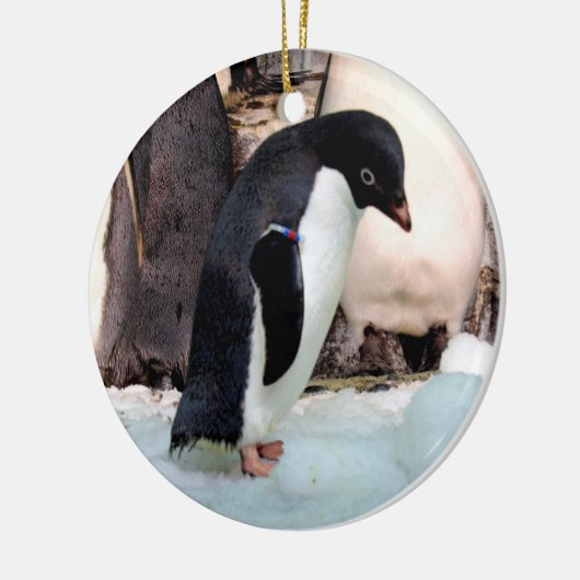 Adelie Penguin Keramik Ornament (Links)