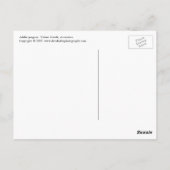 Adelie Penguin Nest Postcard Postkarte (Rückseite)