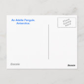 Adelie Penguin Postkarte (Rückseite)