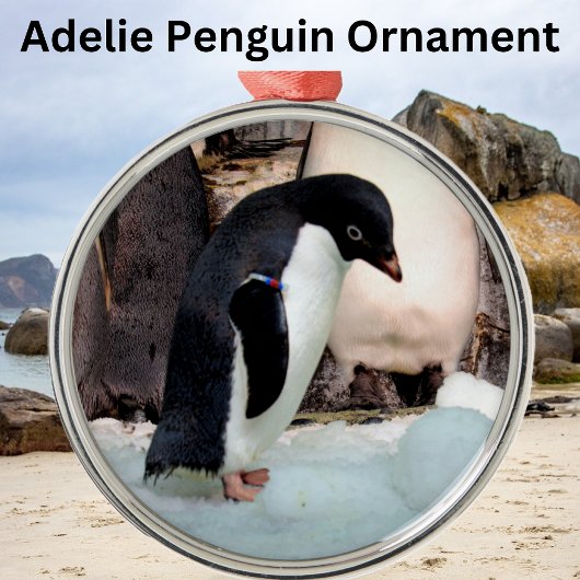 Adelie Penguin Preimium Ornament Aus Metall