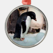 Adelie Penguin Preimium Ornament Aus Metall (Vorne)
