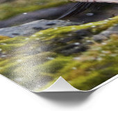 Adelie Penguin Print Fotodruck (Ecke)