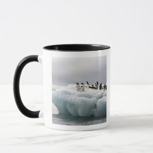 Adelie Penguin Pygoscelis adeliae), Tasse