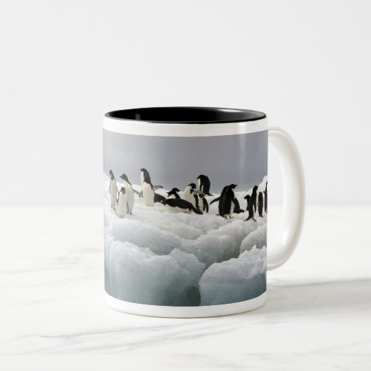 Adelie Penguin Pygoscelis adeliae), Zweifarbige Tasse (VorderseiteRechts)
