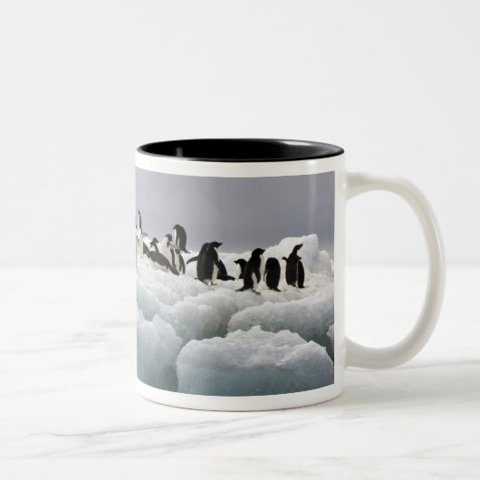 Adelie Penguin Pygoscelis adeliae), Zweifarbige Tasse (Rechts)