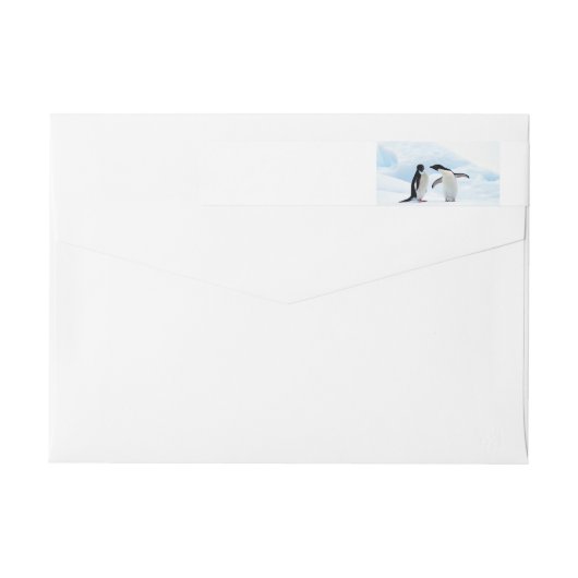 Adelie Penguins (Rückseite)