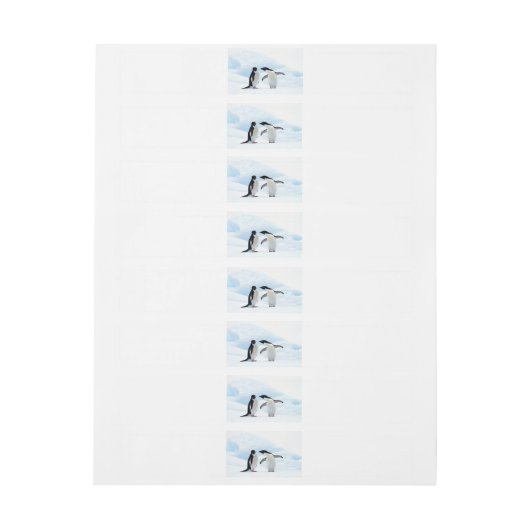 Adelie Penguins (Bogen)