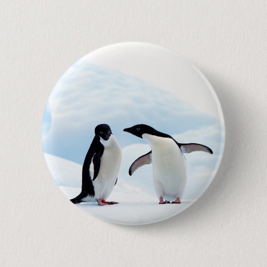 Adelie Penguins Button (Vorderseite)