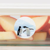 Adelie Penguins Etiketten (Befestigt)