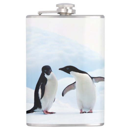 Adelie Penguins Flachmann (Vorderseite)