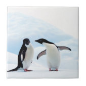 Adelie Penguins Fliese (Vorderseite)
