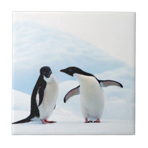 Adelie Penguins Fliese