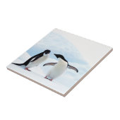 Adelie Penguins Fliese (Seite)