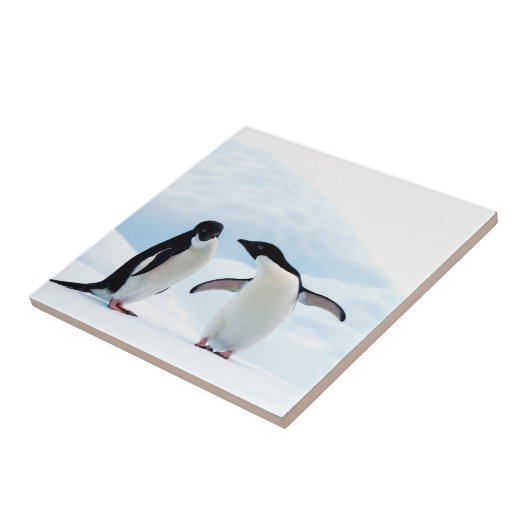 Adelie Penguins Fliese (Seite)