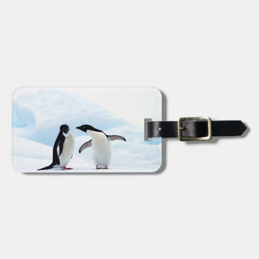 Adelie Penguins Gepäckanhänger (Vorderseite horizontal)